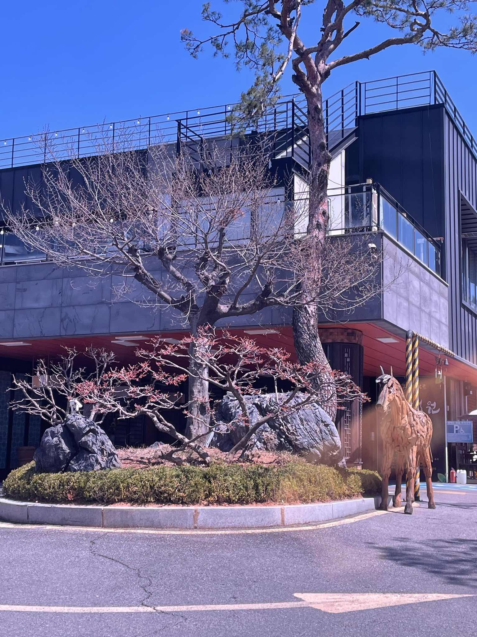 덕암호캠핑장